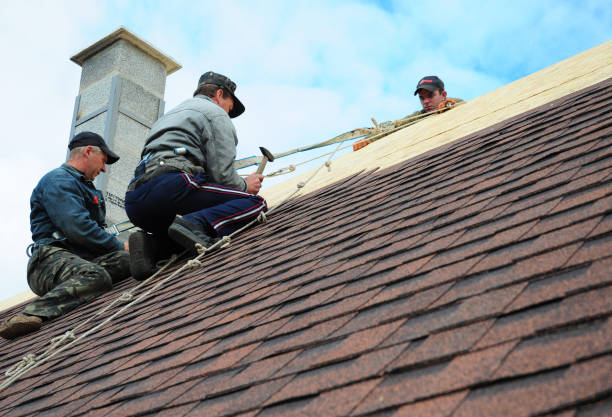 Professional Roofing Contractor in Simi Valley, CA